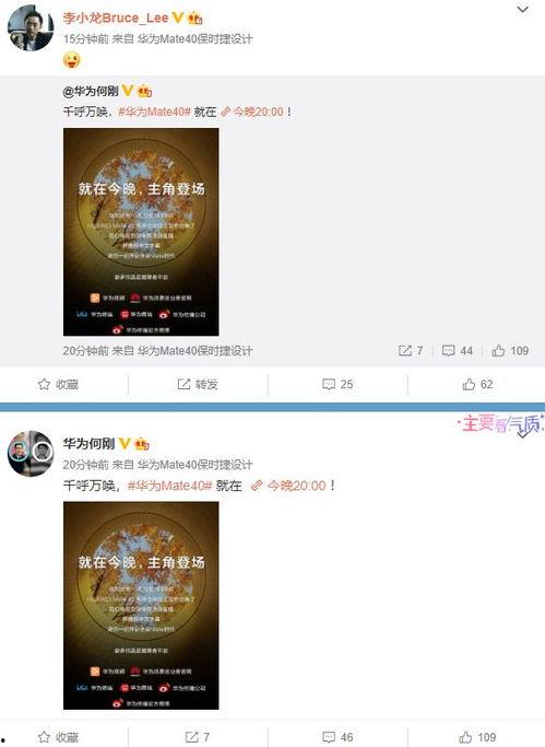 沈猛爆料视频大全最新版,热点事件背后的真相